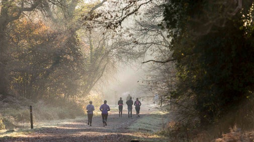 An early-morning running group run along a broad path flanked by trees on a misty winter morning at Bookham Commons, Surrey